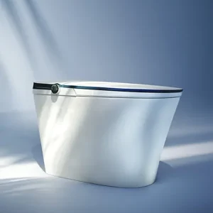 Bồn Vệ Sinh Thông Minh